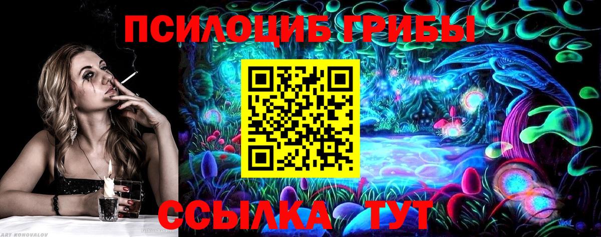 Псилоцибиновые грибы Psilocybine cubensis Рыбинск