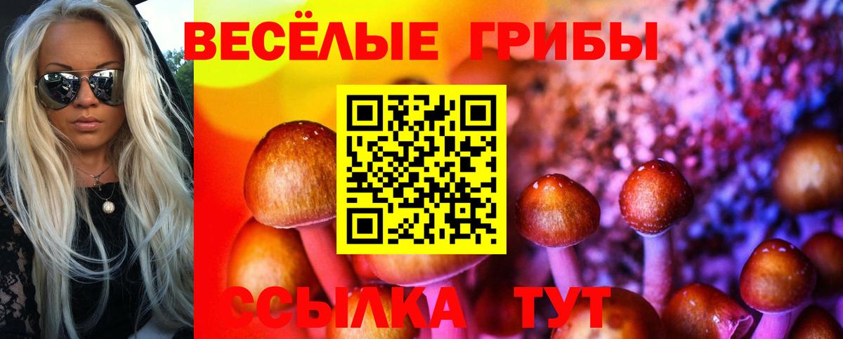 Рыбинск  Псилоцибиновые грибы MAGIC MUSHROOMS  Вход с VPN  Галлюциногенные грибы Magic Shrooms 
